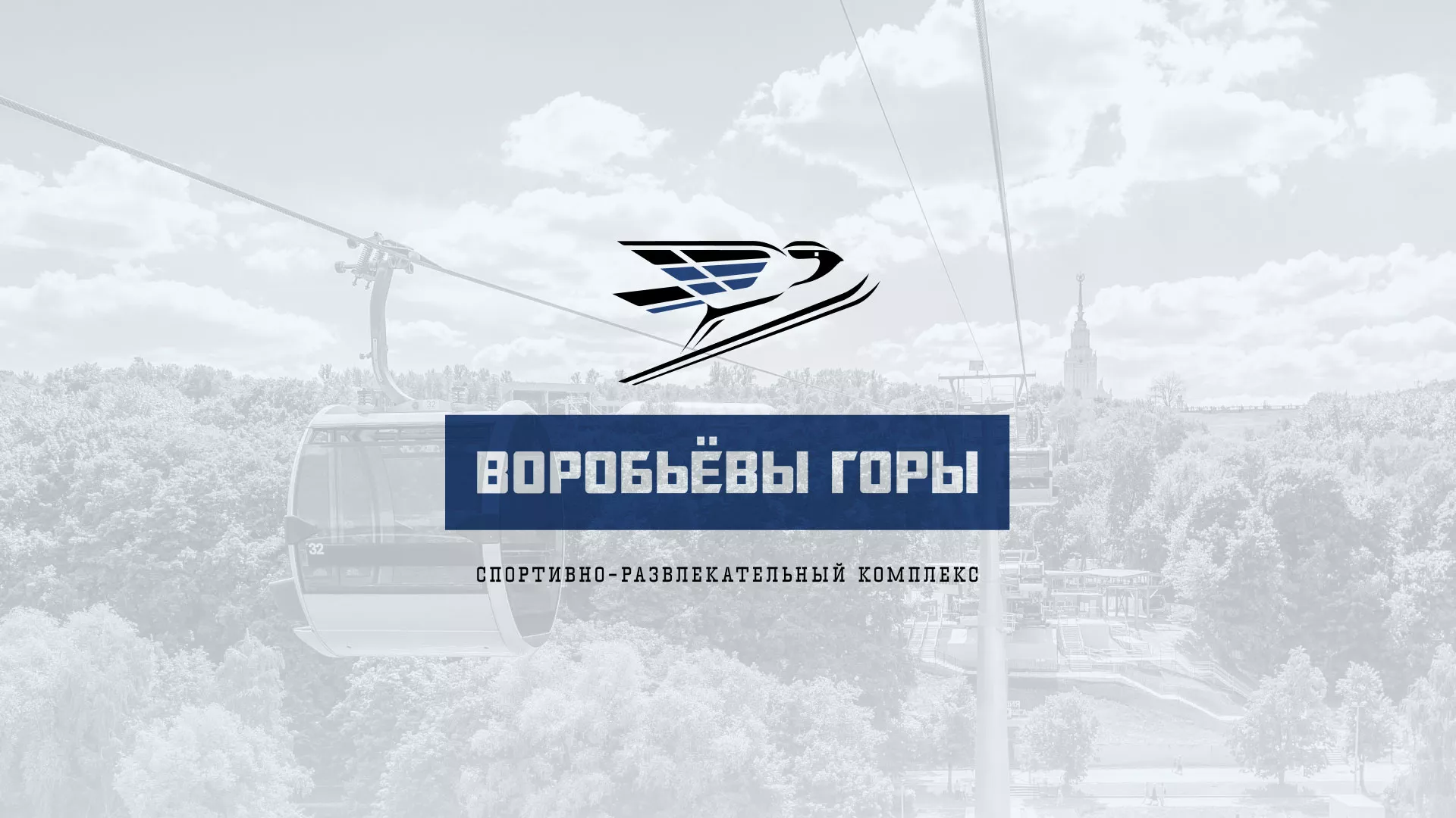 Разработка сайта в Михайловске для спортивно-развлекательного комплекса «Воробьёвы горы»