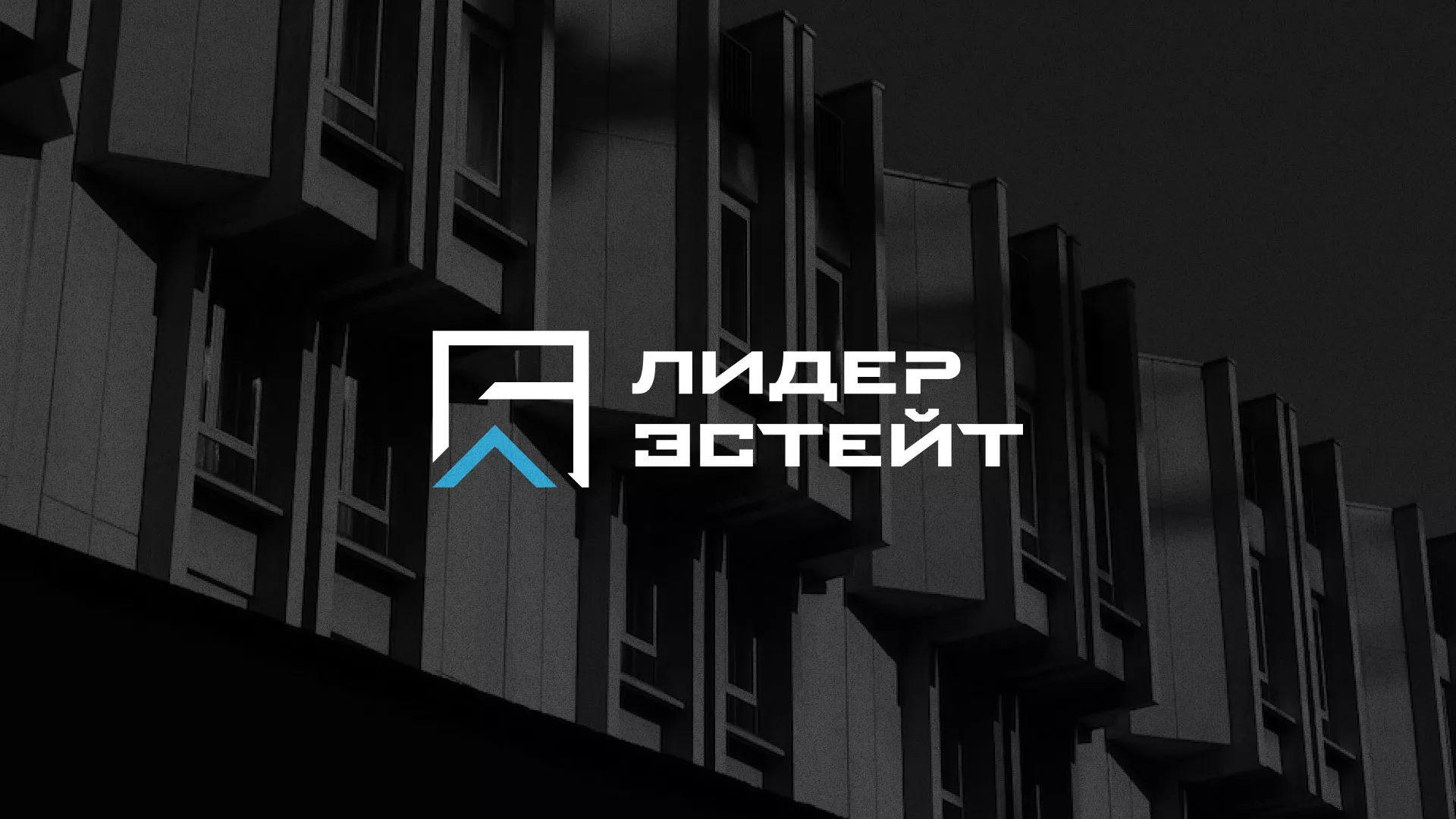 Разработка логотипа агентства недвижимости «Лидер Эстейт» в Михайловске